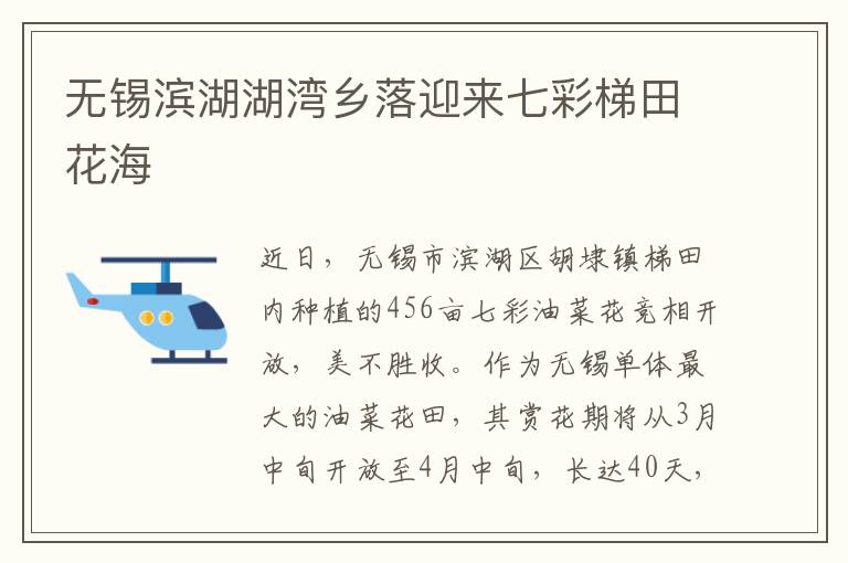 無錫濱湖湖灣鄉落迎來七彩梯田花海