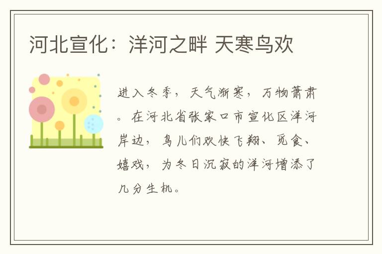 河北宣化：洋河之畔 天寒鳥歡