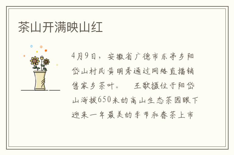 茶山開滿映山紅