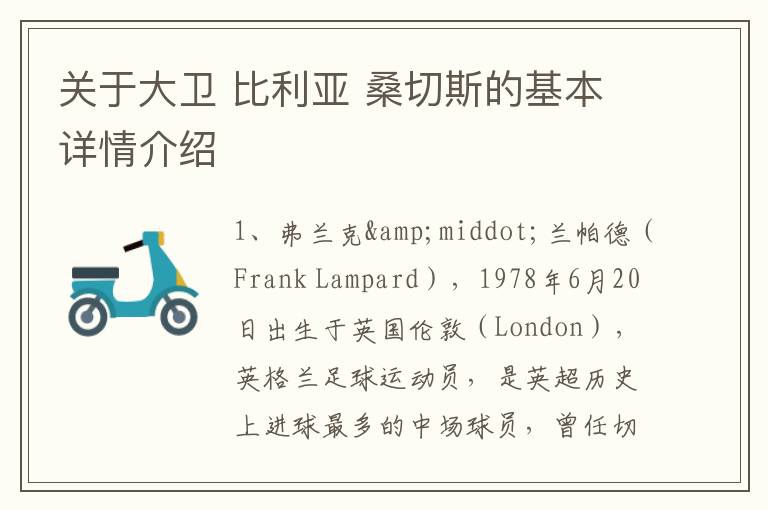關于大衛 比利亞 桑切斯的基本詳情介紹