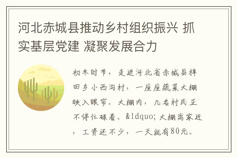 河北赤城縣推動鄉村組織振興 抓實基層黨建 凝聚發展合力