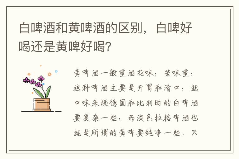 白啤酒和黃啤酒的區別，白啤好喝還是黃啤好喝？