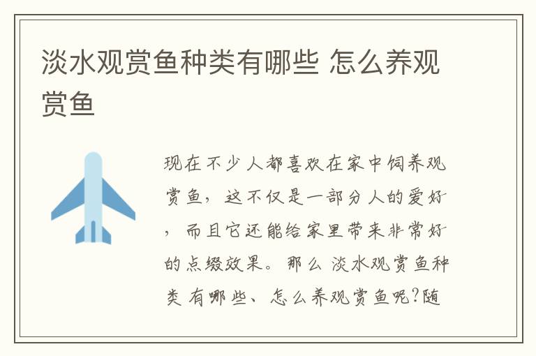 淡水觀賞魚種類有哪些 怎么養觀賞魚