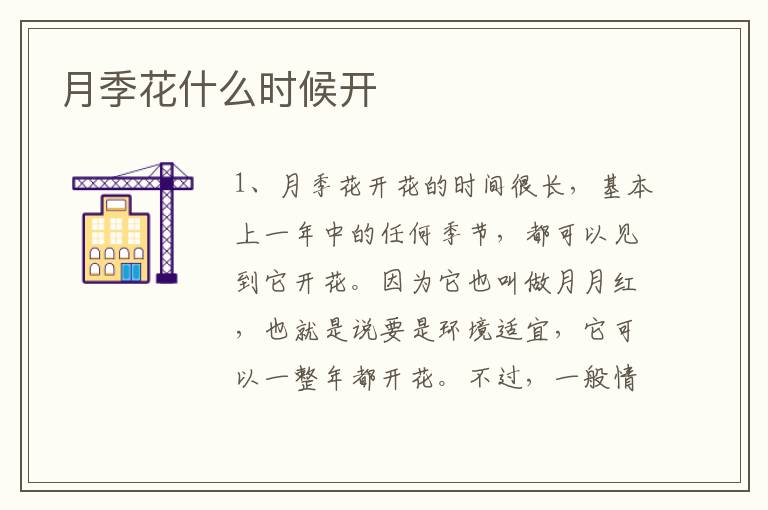 月季花什么時候開
