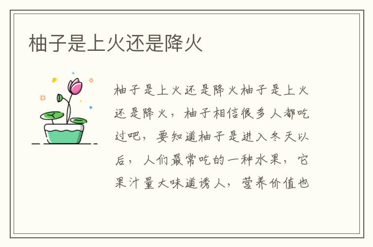 柚子是上火還是降火